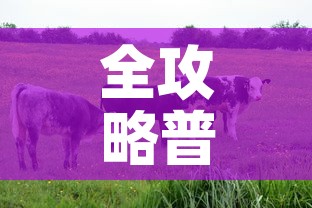 全攻略普及“开牛牛群怎么买房卡	”详细房卡使用教程