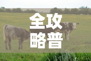 全攻略普及“微信牛牛群房卡”房卡获取方式
