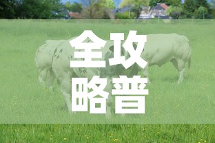 全攻略普及“微信牛牛群房卡”房卡获取方式