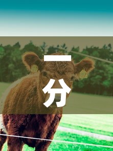 一分钟实测分享“微信牛牛群斗牛群”链接房卡在哪里获取