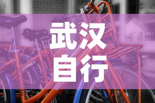 武汉自行车租金价格表—(武汉自行车租金价格表大全) 武汉自行车租金价格表—(武汉自行车租金价格表大全)