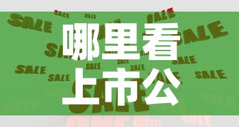 哪里看上市公司现金价值 → 如何看上市公司的现金
