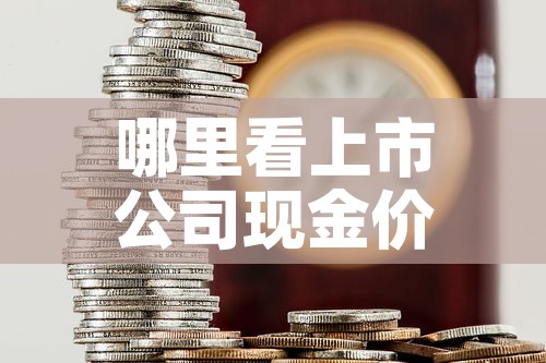 哪里看上市公司现金价值 → 如何看上市公司的现金