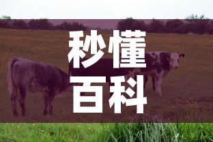秒懂百科“微信牛牛群房卡怎么弄	”房卡使用教程
