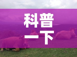 科普一下“微信怎么建房玩斗牛牛啊”详细房卡教程