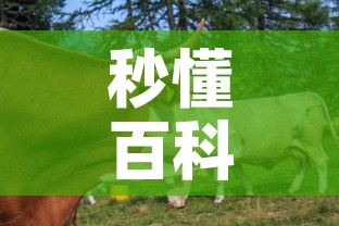 秒懂百科“微信牛牛群房卡”房卡怎么购买