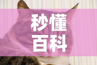 秒懂百科“斗牛房卡牛牛房卡”详细房卡怎么购买教程