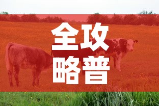 全攻略普及“微信牛牛群房卡”房卡详细充值
