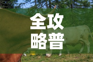 全攻略普及“微信牛牛群房卡”房卡详细充值