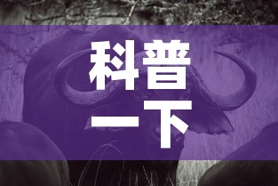 科普一下“微信牛牛群斗牛群”房卡详细充值
