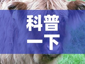 科普一下“微信牛牛群斗牛群	”房卡详细充值
