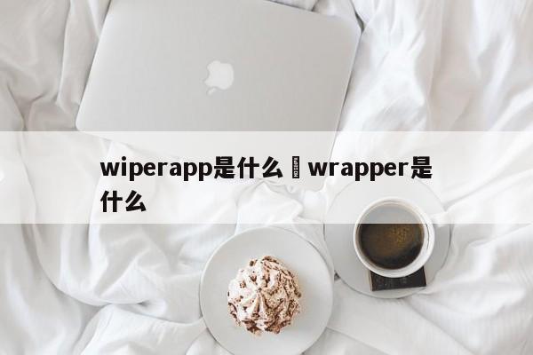 wiperapp是什么›wrapper是什么